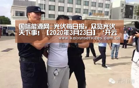 国际能源网-光伏每日报,众览光伏天下事!【2020年3月23日】‘开云权威入口’(图3) 开云中国官网
