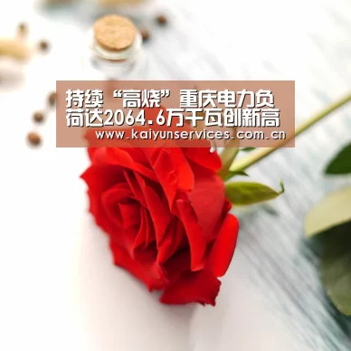 持续“高烧”重庆电力负荷达2064.6万千瓦创新高‘开云综合服务’(图2) 开云综合服务
