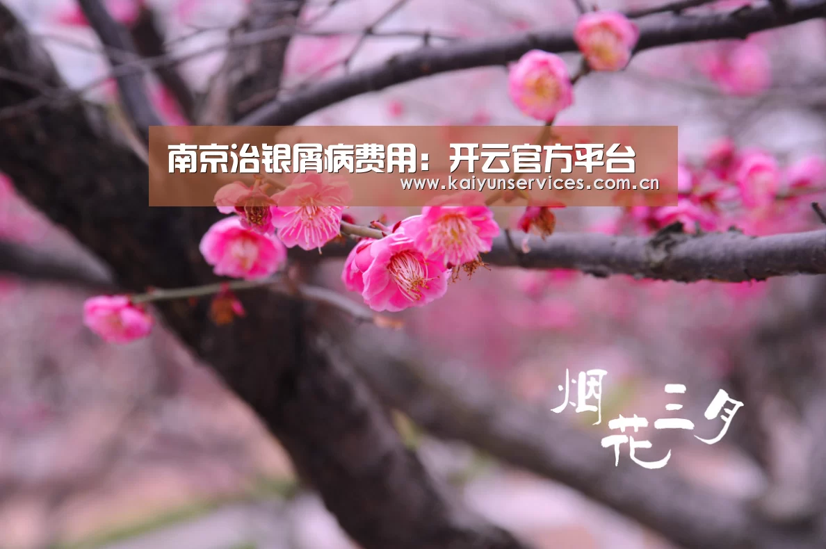 南京治银屑病费用:开云官方平台(图1) 开云权威入口