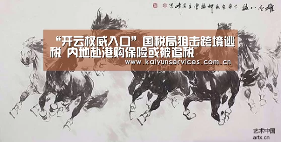 开云官方平台