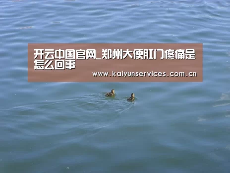 开云中国官网_郑州大便肛门疼痛是怎么回事(图1) 开云权威入口